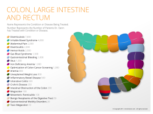 organs-charts-colon